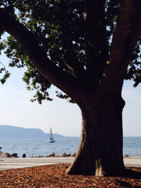 Ca' Dei Gatti Villa Toscolano-Maderno Kültér fotó