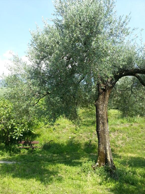 Ca' Dei Gatti Villa Toscolano-Maderno Kültér fotó